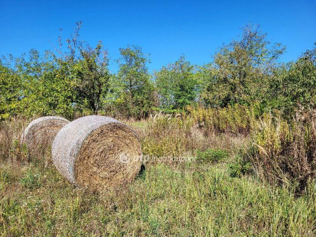 Eladó családi ház, Nagyberényen 55 M Ft, 4 szobás