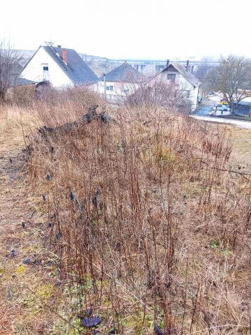 Eladó telek, Óbarokon 14.3 M Ft / költözzbe.hu