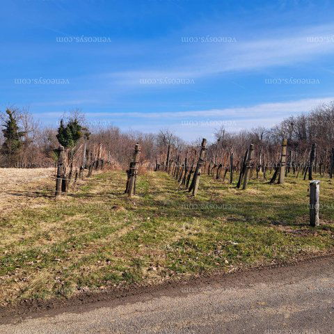Eladó telek, Garaboncon 8.5 M Ft / költözzbe.hu