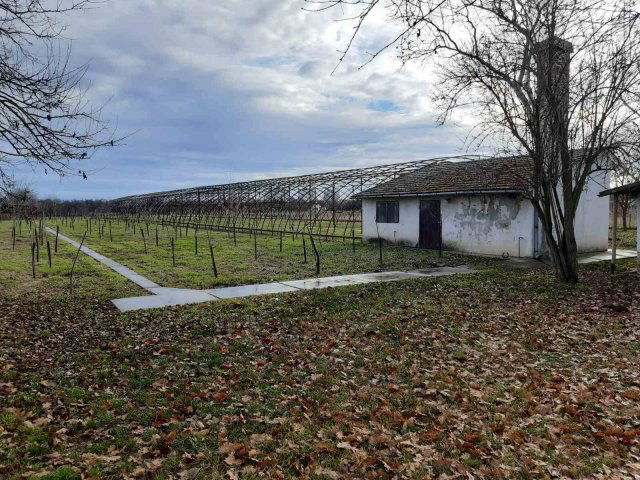 Eladó mezogazdasagi ingatlan, Gyulán 29 M Ft