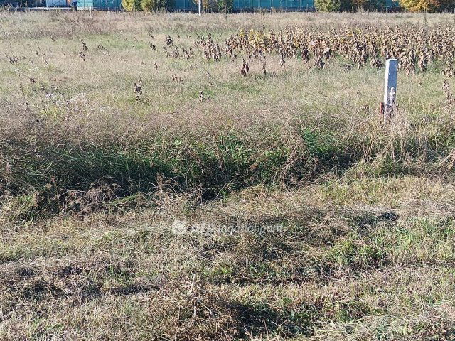 Eladó telek, Tökölön 18 M Ft / költözzbe.hu