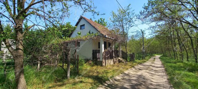 Eladó telek, Téten 8 M Ft / költözzbe.hu