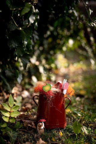 Eladó családi ház, Dunabogdányban 135 M Ft, 8 szobás