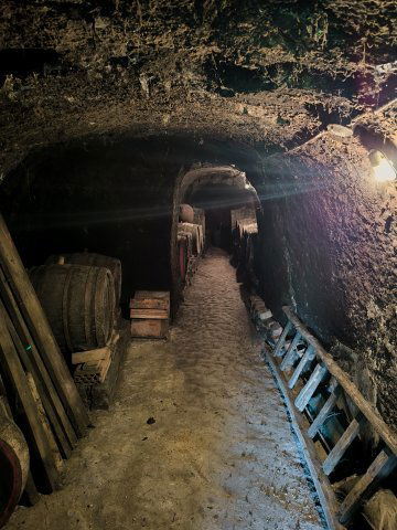 Eladó mezogazdasagi ingatlan, Harsányban 1.85 M Ft