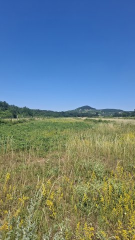 Eladó mezogazdasagi ingatlan, Zánkán 5.9 M Ft