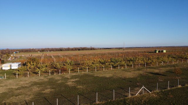 Eladó telek, Zamárdiban 96 M Ft / költözzbe.hu