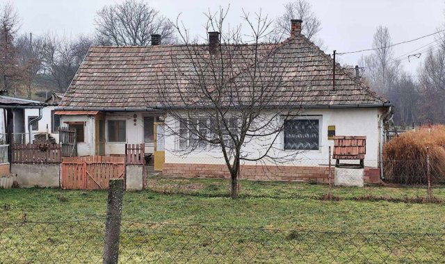 Eladó családi ház, Zalán 19 M Ft, 9 szobás