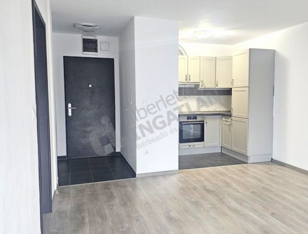 Kiadó téglalakás, albérlet, XIII. kerületben, Szegedi úton