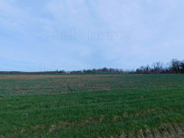 Eladó telek, Nemesbükön 6.5 M Ft / költözzbe.hu