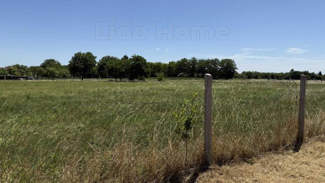 Eladó telek, Felsőpáhokon 12 M Ft / költözzbe.hu