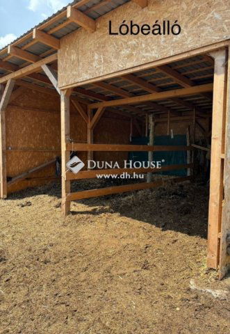 Eladó családi ház, Cserkúton 63 M Ft, 6 szobás