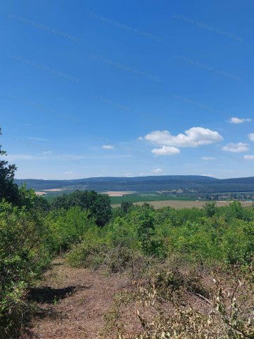Eladó mezogazdasagi ingatlan, Héregen 4.1 M Ft