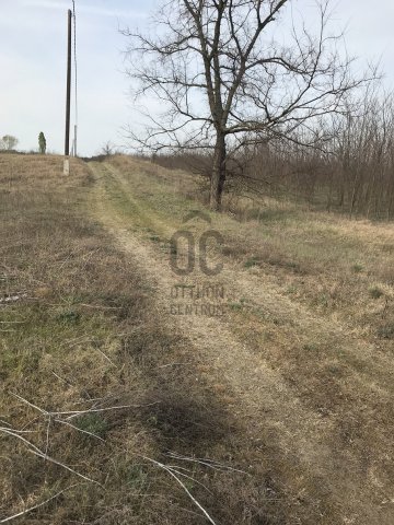 Eladó mezogazdasagi ingatlan, Tápióbicskén 2.9 M Ft