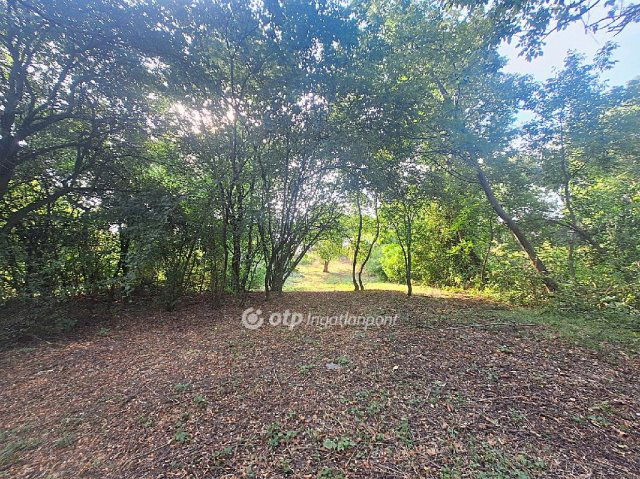 Eladó mezogazdasagi ingatlan, Békésszentandráson 9.3 M Ft