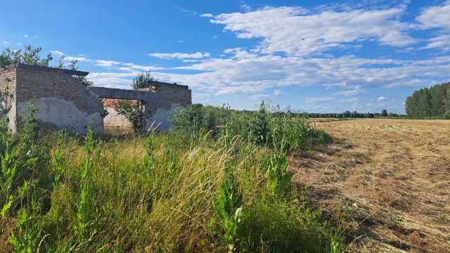 Eladó mezogazdasagi ingatlan, Hernádcécén 10 M Ft