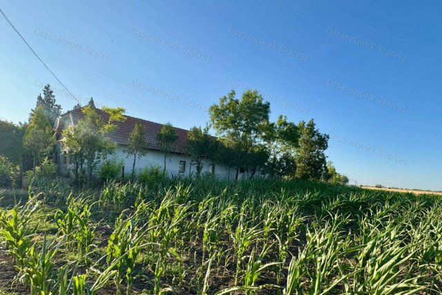 Eladó mezogazdasagi ingatlan, Kardoson 11.5 M Ft, 3 szobás
