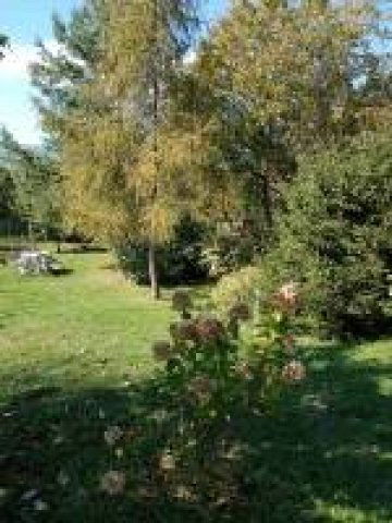 Eladó családi ház, Pilisszántón 49 M Ft, 3 szobás