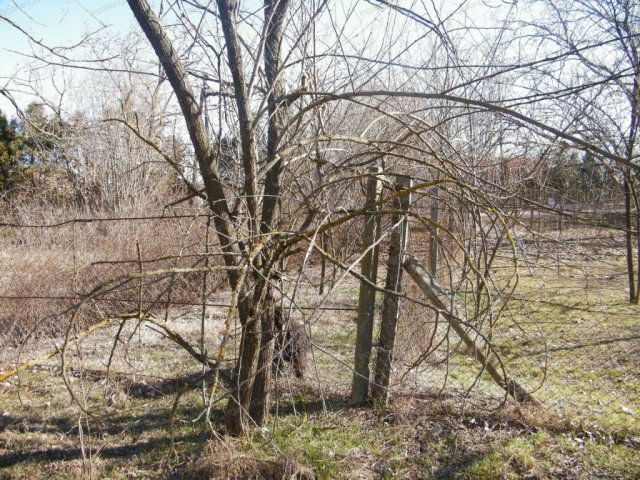 Eladó ipari ingatlan, Ballószögön 18 M Ft / költözzbe.hu