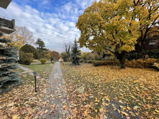 Kiadó téglalakás, albérlet, XII. kerületben, Tündér utcában