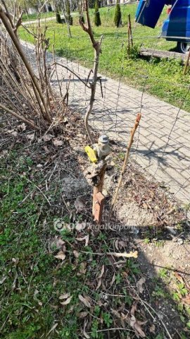 Eladó családi ház, Nemesgörzsönyön 21.9 M Ft, 2 szobás