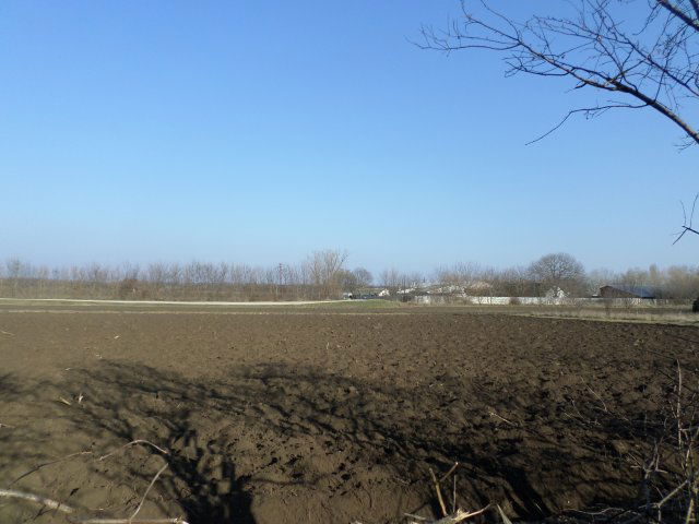 Eladó családi ház, Martonvásáron 87.5 M Ft, 5 szobás