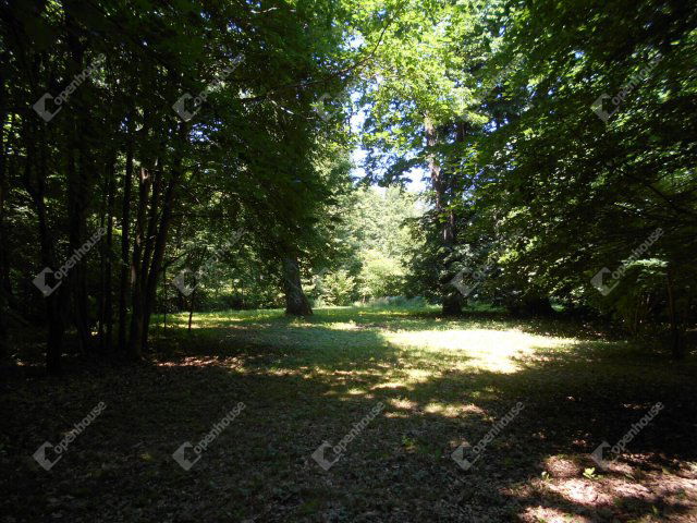 Eladó családi ház, Hegyhátszentjakabon 28 M Ft, 2 szobás