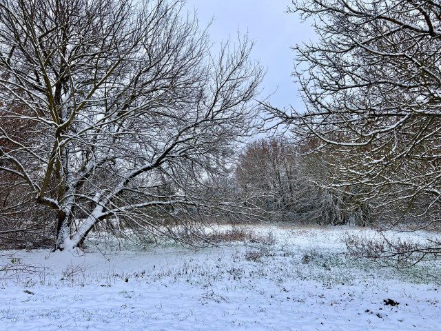 Eladó telek, Fóton 32 M Ft / költözzbe.hu