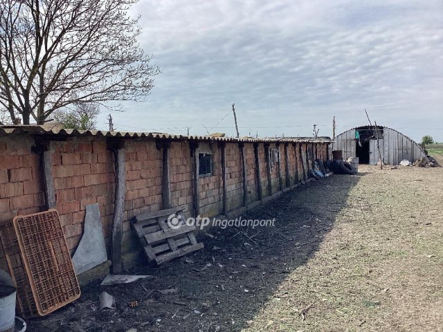 Eladó mezogazdasagi ingatlan, Gyomaendrődön 62.7 M Ft