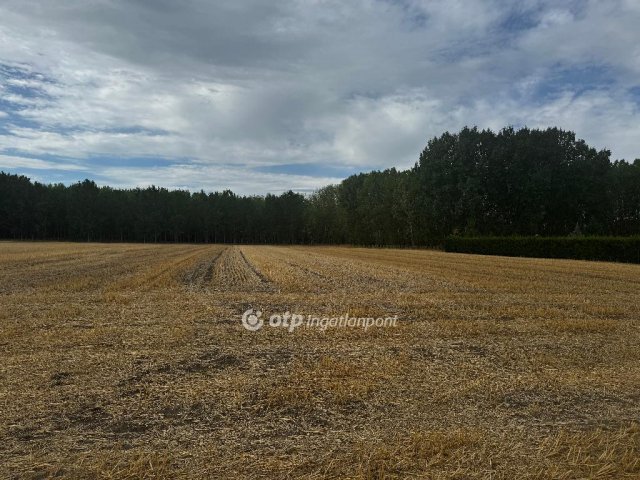 Eladó mezogazdasagi ingatlan, Ceglédbercelen 5.9 M Ft