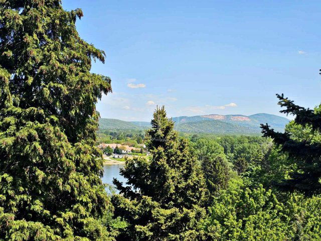 Eladó családi ház, Visegrádon 41.9 M Ft, 1 szobás