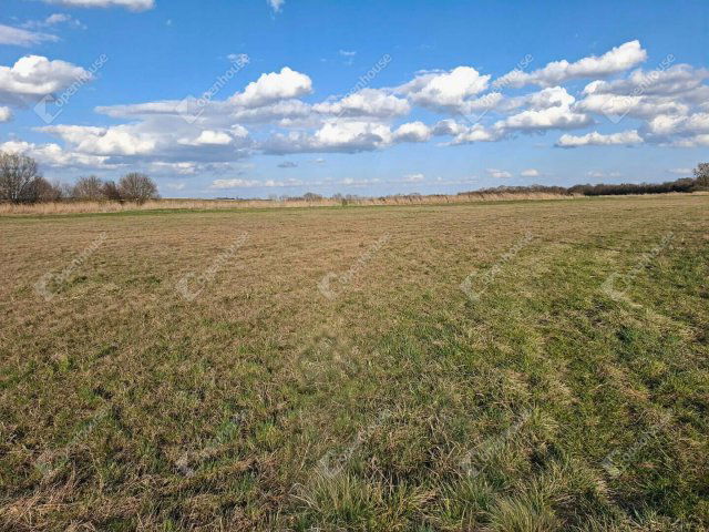 Eladó mezogazdasagi ingatlan, Ebergőcön 5.9 M Ft