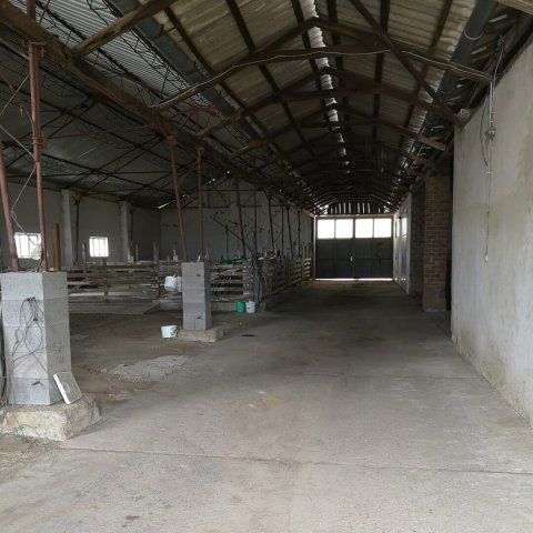 Kiadó mezogazdasagi ingatlan, Lakhegyen 450 E Ft / hó