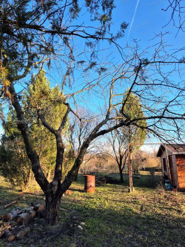 Eladó mezogazdasagi ingatlan, Besenyszögön 5.9 M Ft