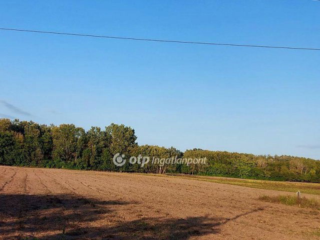 Eladó mezogazdasagi ingatlan, Ópusztaszeren 2.9 M Ft