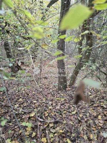 Eladó telek, Pécsett 5 M Ft / költözzbe.hu