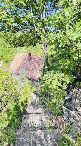 Eladó családi ház, Pécsett 19.9 M Ft, 1 szobás