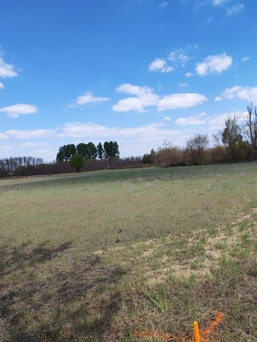 Eladó mezogazdasagi ingatlan, Csemőn 3.2 M Ft