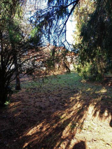 Eladó családi ház, Pilisvörösváron 69.5 M Ft, 2 szobás