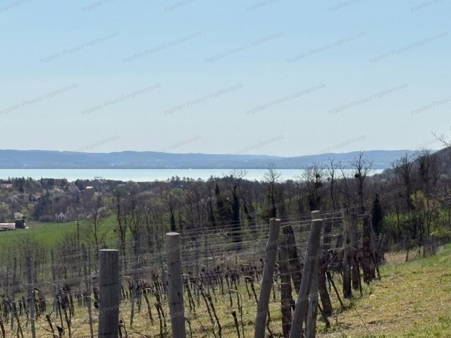 Eladó mezogazdasagi ingatlan, Balatoncsicsón 23 M Ft