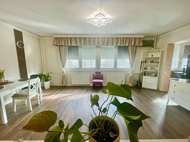 Eladó panellakás, Szolnokon 41.9 M Ft, 2 szobás