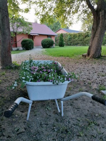 Eladó családi ház, Balatonkenesén 83.9 M Ft, 3 szobás