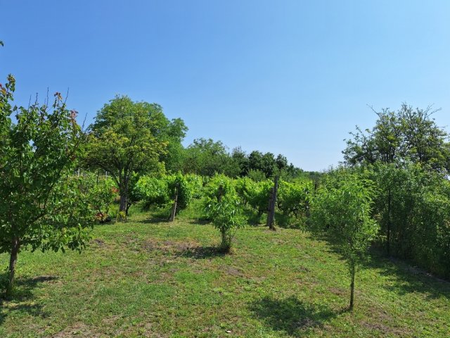 Eladó családi ház, Bicskén 19.5 M Ft, 3 szobás