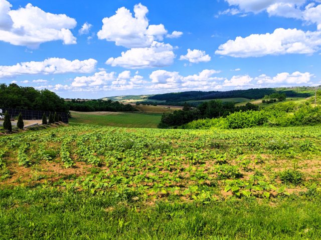 Eladó telek, Bonyhádon 9.99 M Ft / költözzbe.hu
