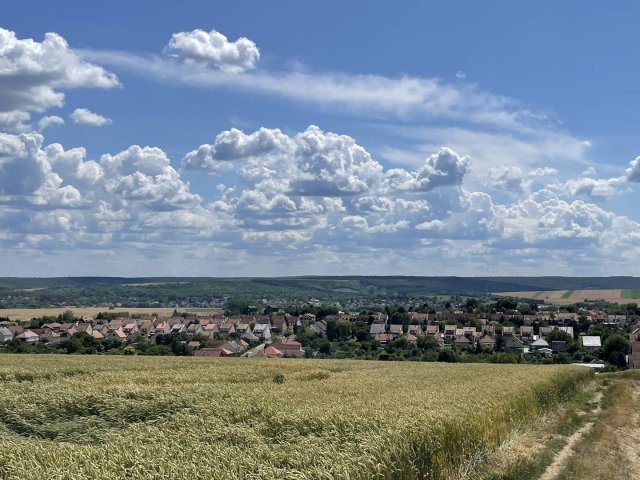 Eladó telek, Aszódon 27 M Ft / költözzbe.hu