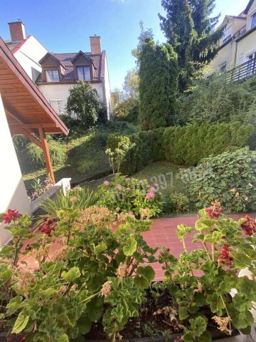 Kiadó sorház, albérlet, Nagykovácsiban 471 E Ft / hó, 5 szobás