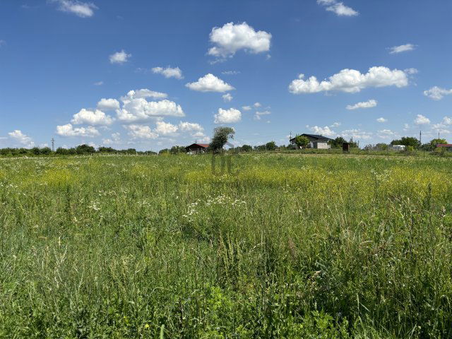 Eladó telek, Érden 11.5 M Ft / költözzbe.hu