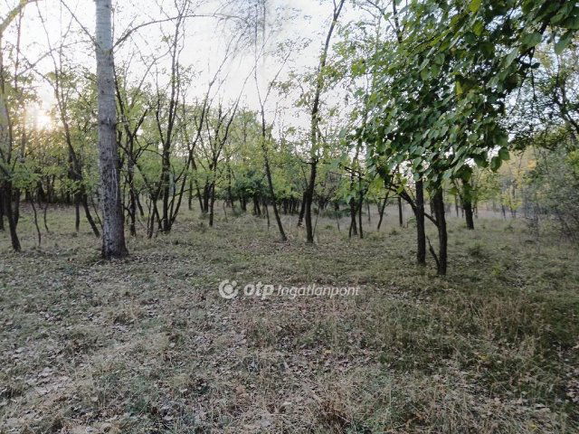 Eladó mezogazdasagi ingatlan, Pusztamérgesen 11.5 M Ft
