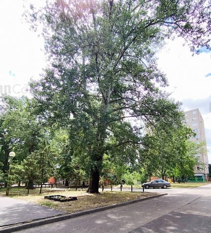 Eladó panellakás, Szegeden, Csongrádi sugárúton 48.9 M Ft