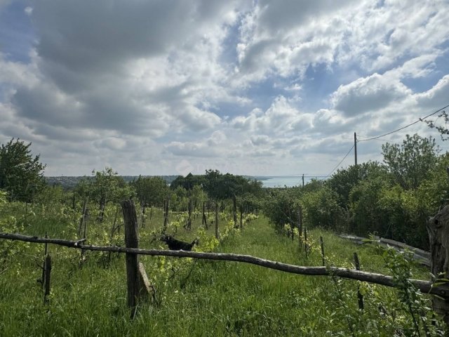 Eladó telek, Balatonalmádiban 48 M Ft / költözzbe.hu