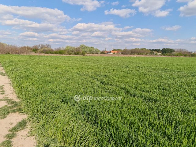 Eladó telek, Szigetszentmiklóson 16.9 M Ft / költözzbe.hu